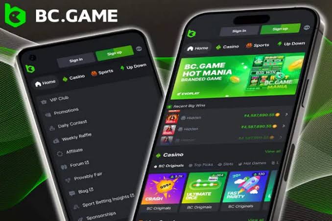 The Exciting World of Casino BC Fun A Guide to Entertainment and Winning
