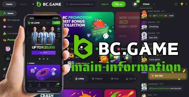 Understanding the BC.Game Login Process A Step-by-Step Guide 898192364