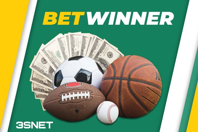 Comprehensive Guide to the BetWinner Platform Your Online Betting Destination