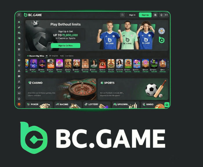 Get the Most Out of BC.Game Promo Codes and Bonuses